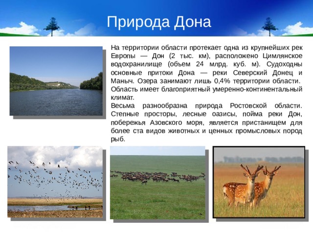 Природа Дона На территории области протекает одна из крупнейших рек Европы — Дон (2 тыс. км), расположено Цимлянское водохранилище (объем 24 млрд. куб. м). Судоходны основные притоки Дона — реки Северский Донец и Маныч. Озера занимают лишь 0,4% территории области.   Область имеет благоприятный умеренно-континентальный климат. Весьма разнообразна природа Ростовской области. Степные просторы, лесные оазисы, пойма реки Дон, побережья Азовского моря, является пристанищем для более ста видов животных и ценных промысловых пород рыб. 