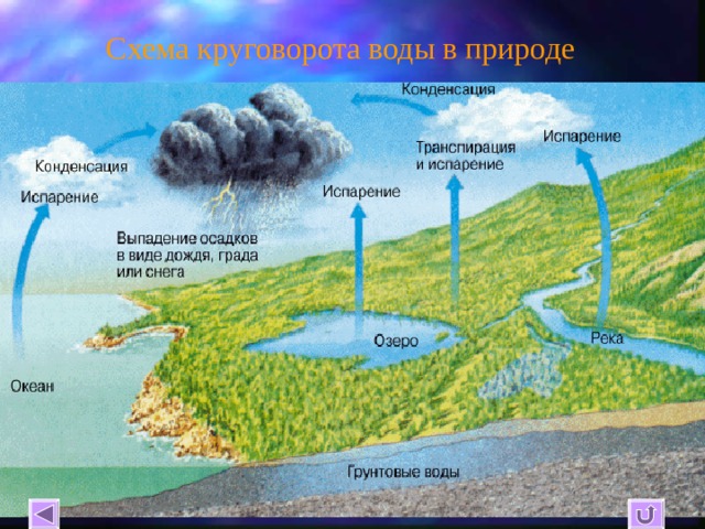 Схема круговорота воды в природе 