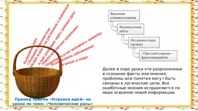 Выделяют три К нам попадают через грязные руки Микроскопические организмы Возбудители заболеваний Обитают повсеместно Их много в почве Передаются от человека к человеку Могут жить и на растениях и животных Далее в ходе урока эти разрозненные в сознании факты или мнения, проблемы или понятия могут быть связаны в логические цепи. Все ошибочные мнения исправляются по мере освоения новой информации. Пример приёма «Корзина идей» на уроке по теме: «Человеческие расы» 