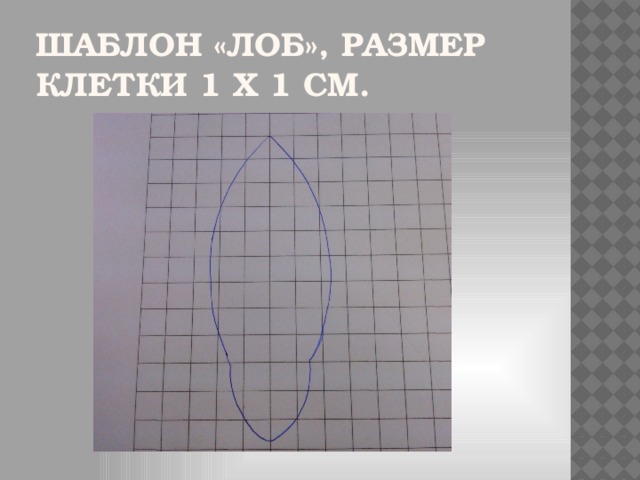 Шаблон «Лоб», размер клетки 1 х 1 см.