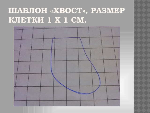 Шаблон «Хвост», размер клетки 1 х 1 см.