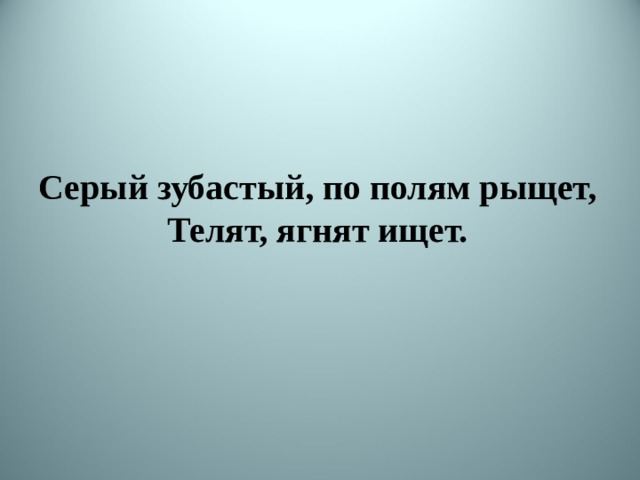 Серый зубастый, по полям рыщет,  Телят, ягнят ищет. 