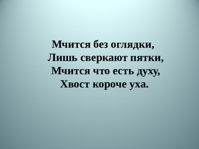 Мчится без оглядки, Лишь сверкают пятки, Мчится что есть духу, Хвост короче уха. 