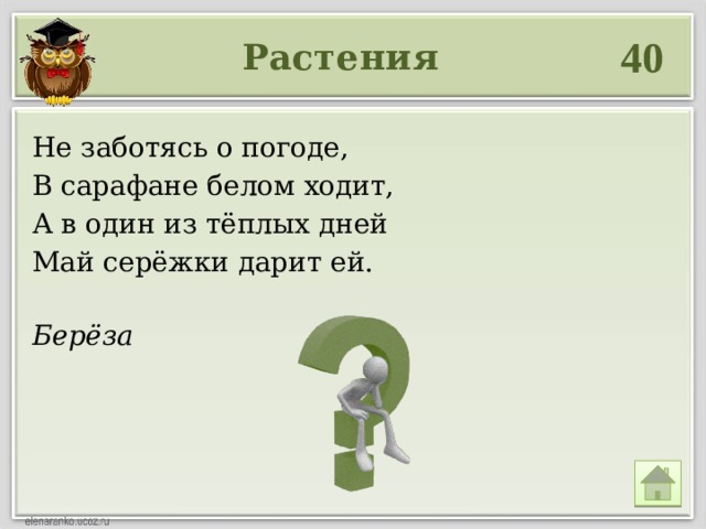 40 Растения Не заботясь о погоде, В сарафане белом ходит, А в один из тёплых дней Май серёжки дарит ей. Берёза 