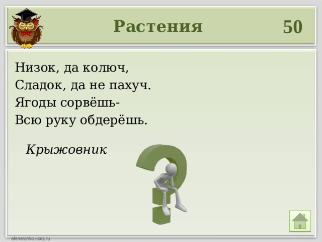 Крыжовник 50 Растения Низок, да колюч, Сладок, да не пахуч. Ягоды сорвёшь- Всю руку обдерёшь. 