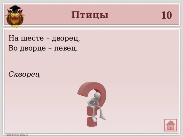 10 Птицы На шесте – дворец, Во дворце – певец. Скворец 