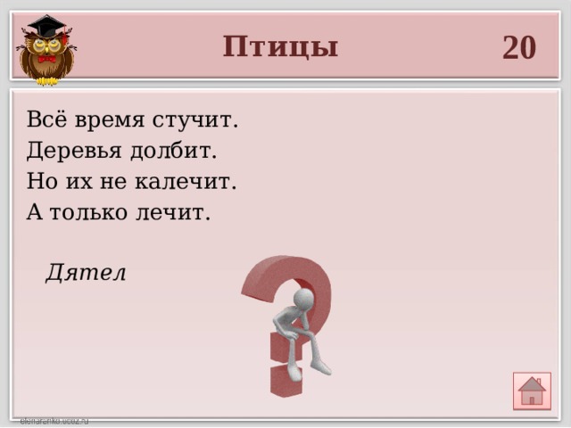 Дятел 20 Птицы Всё время стучит. Деревья долбит. Но их не калечит. А только лечит. 