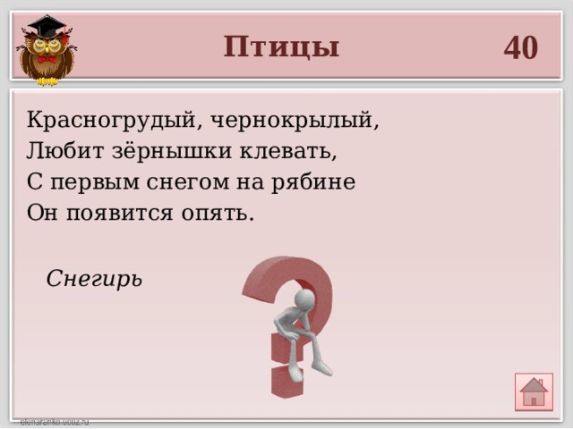 Снегирь 40 Птицы Красногрудый, чернокрылый, Любит зёрнышки клевать, С первым снегом на рябине Он появится опять. 