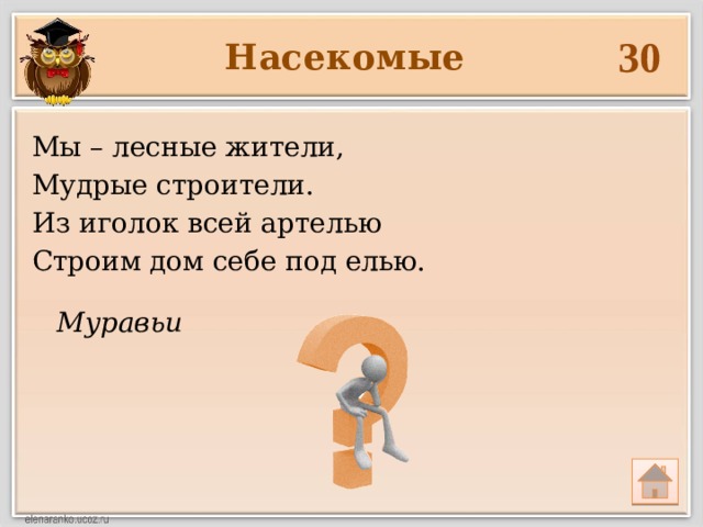 Муравьи 30 Насекомые Мы – лесные жители, Мудрые строители. Из иголок всей артелью Строим дом себе под елью. 