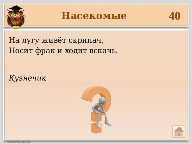 40 Насекомые На лугу живёт скрипач, Носит фрак и ходит вскачь. Кузнечик 