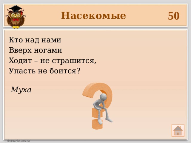 Муха 50 Насекомые Кто над нами Вверх ногами Ходит – не страшится, Упасть не боится? 