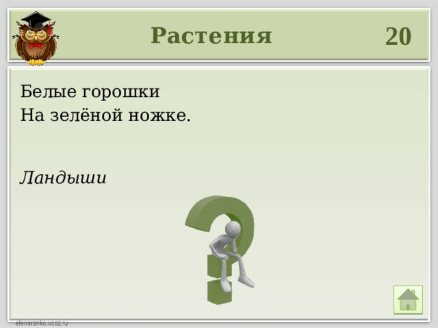 20 Растения Белые горошки На зелёной ножке. Ландыши 