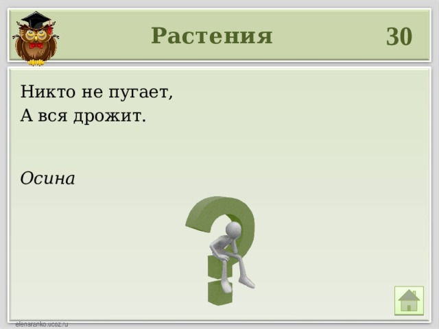 30 Растения Никто не пугает, А вся дрожит. Осина 