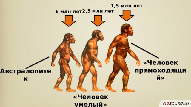 Повторительно обобщающий урок по истории древнего мира 5 класс презентация