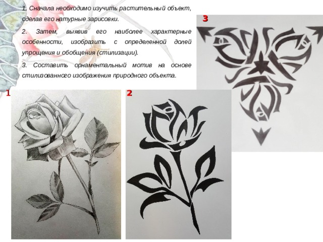 1. Сначала необходимо изучить растительный объект, сделав его натурные зарисовки. 2. Затем, выявив его наиболее характерные особенности, изобразить с определенной долей упрощения и обобщения (стилизации). 3. Составить орнаментальный мотив на основе стилизованного изображения природного объекта.   3 1 2 