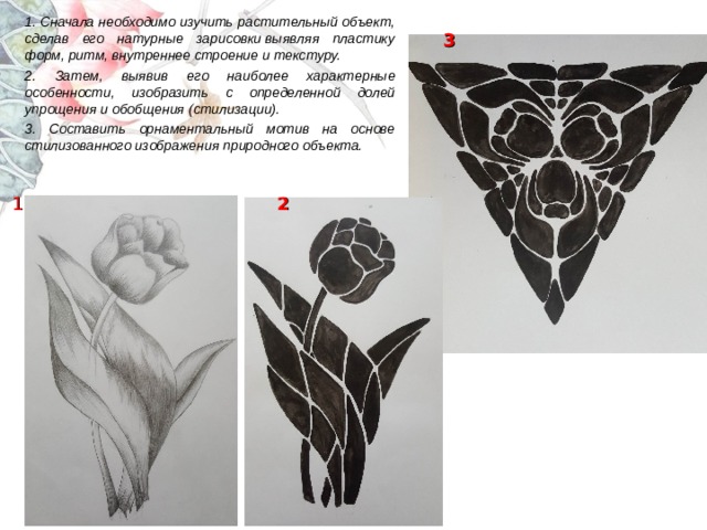 1. Сначала необходимо изучить растительный объект, сделав его натурные зарисовки выявляя пластику форм, ритм, внутреннее строение и текстуру. 2. Затем, выявив его наиболее характерные особенности, изобразить с определенной долей упрощения и обобщения (стилизации). 3. Составить орнаментальный мотив на основе стилизованного изображения природного объекта.   3 1 2 