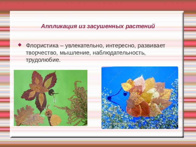 Аппликация из засушенных растений Флористика – увлекательно, интересно, развивает творчество, мышление, наблюдательность, трудолюбие. 