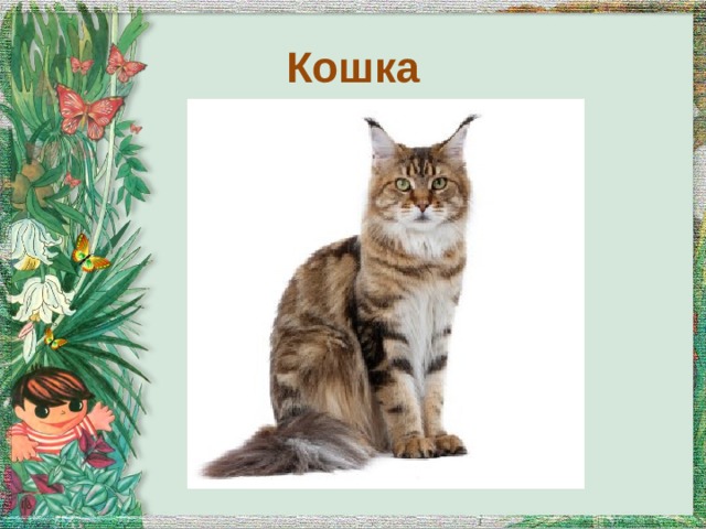 Кошка 