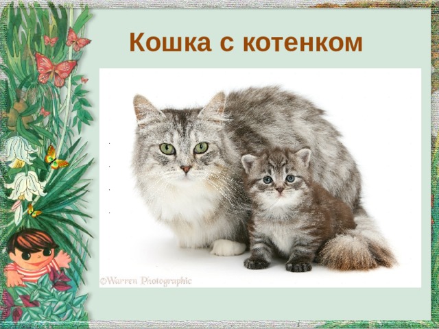 Кошка с котенком 