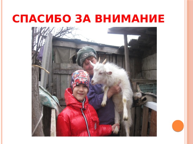 СПАСИБО ЗА ВНИМАНИЕ 