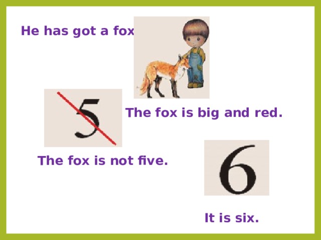  He has got a fox. The fox is big and red. The fox is not five. It is six. 
