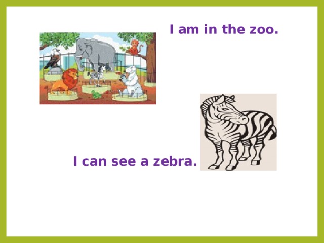 I am in the zoo. I can see a zebra.  