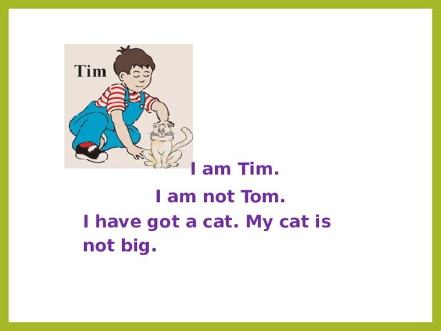 I am Tim. I am not Tom. I have got a cat. My cat is not  big. 