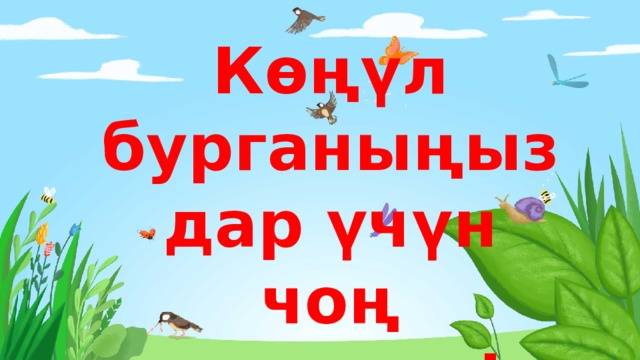 Көңүл бурганыңыздар үчүн чоң ырахмат! 