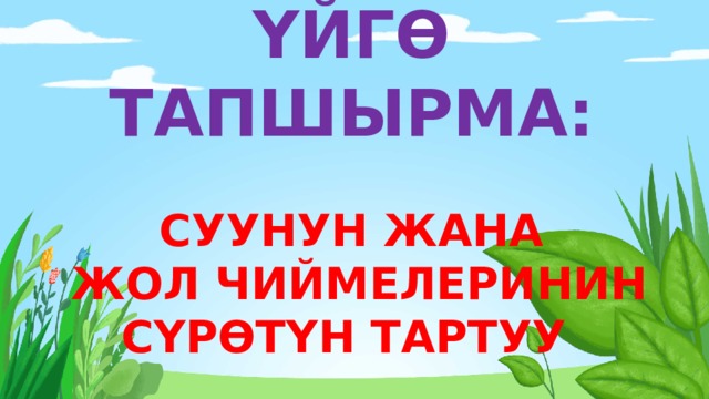      ҮЙГӨ ТАПШЫРМА:   СУУНУН ЖАНА  ЖОЛ ЧИЙМЕЛЕРИНИН СҮРӨТҮН ТАРТУУ 