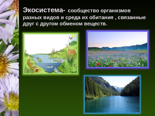 Экосистема-  сообщество организмов разных видов и среда их обитания , связанные друг с другом обменом веществ.    