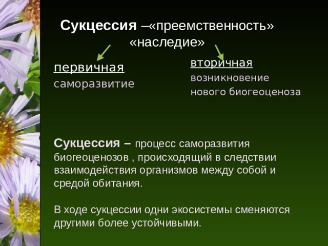 Сукцессия –«преемственность»  «наследие» первичная вторичная  саморазвитие возникновение нового биогеоценоза Сукцессия – процесс саморазвития биогеоценозов , происходящий в следствии взаимодействия организмов между собой и средой обитания. В ходе сукцессии одни экосистемы сменяются другими более устойчивыми. 