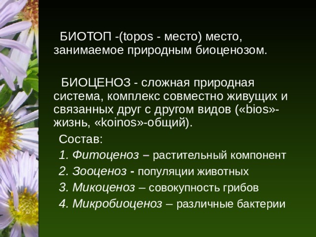    БИОТОП -( topos - место) место, занимаемое природным биоценозом.   БИОЦЕНОЗ - сложная природная система, комплекс совместно живущих и связанных друг с другом видов (« bios »-жизнь, « koinos »-общий).  Состав:  1. Фитоценоз – растительный компонент  2. Зооценоз - популяции животных  3. Микоценоз – совокупность грибов  4. Микробиоценоз – различные бактерии 