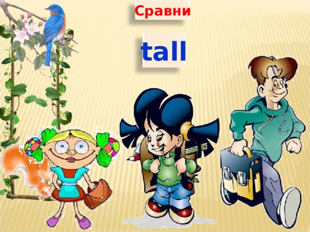Сравни tall 