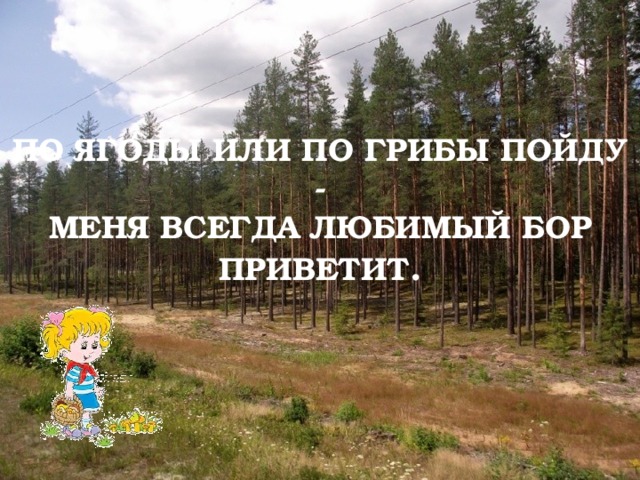 ПО ЯГОДЫ ИЛИ ПО ГРИБЫ ПОЙДУ -  МЕНЯ ВСЕГДА ЛЮБИМЫЙ БОР ПРИВЕТИТ . 