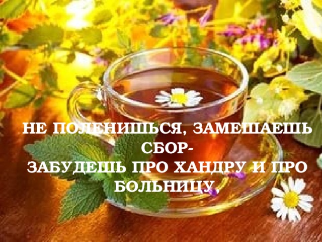 НЕ ПОЛЕНИШЬСЯ, ЗАМЕШАЕШЬ СБОР-  ЗАБУДЕШЬ ПРО ХАНДРУ И ПРО БОЛЬНИЦУ, 
