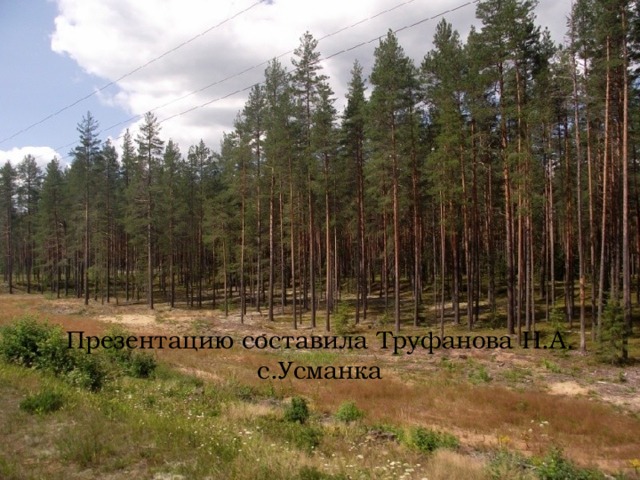 Презентацию составила Труфанова Н.А.  с.Усманка   