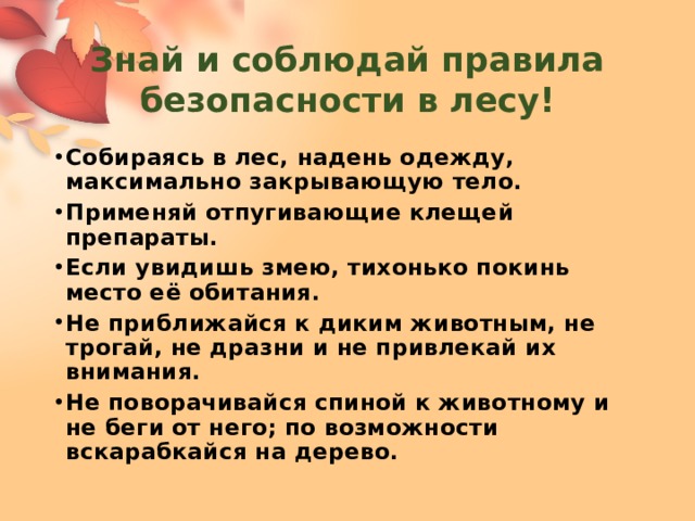 Знай и соблюдай правила безопасности в лесу! Собираясь в лес, надень одежду, максимально закрывающую тело. Применяй отпугивающие клещей препараты. Если увидишь змею, тихонько покинь место её обитания. Не приближайся к диким животным, не трогай, не дразни и не привлекай их внимания. Не поворачивайся спиной к животному и не беги от него; по возможности вскарабкайся на дерево. 