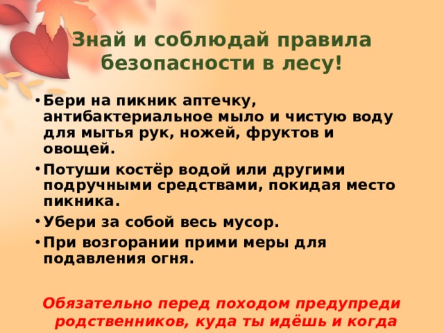 Знай и соблюдай правила безопасности в лесу! Бери на пикник аптечку, антибактериальное мыло и чистую воду для мытья рук, ножей, фруктов и овощей. Потуши костёр водой или другими подручными средствами, покидая место пикника. Убери за собой весь мусор. При возгорании прими меры для подавления огня.  Обязательно перед походом предупреди родственников, куда ты идёшь и когда планируешь вернуться. Не уходи в лес один! 