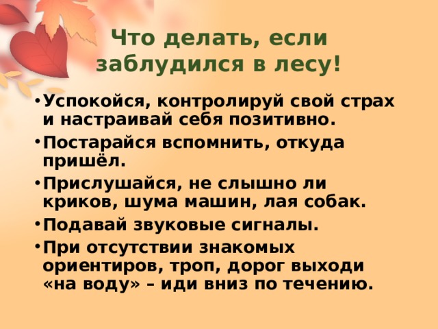 Что делать, если заблудился в лесу! Успокойся, контролируй свой страх и настраивай себя позитивно. Постарайся вспомнить, откуда пришёл. Прислушайся, не слышно ли криков, шума машин, лая собак. Подавай звуковые сигналы. При отсутствии знакомых ориентиров, троп, дорог выходи «на воду» – иди вниз по течению. 