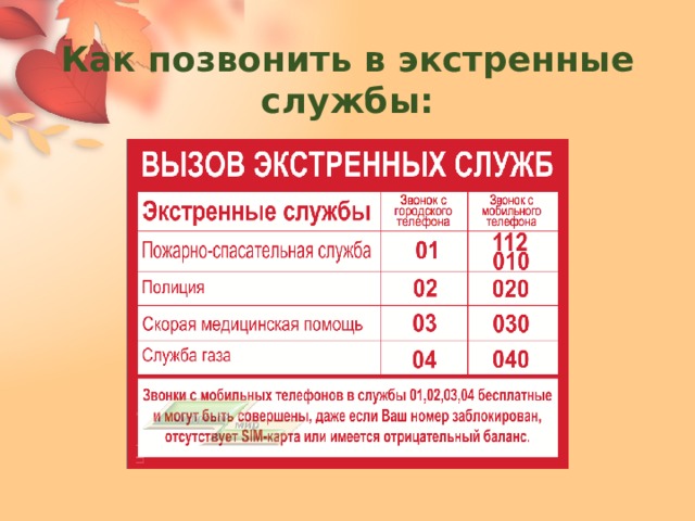 Как позвонить в экстренные службы: 