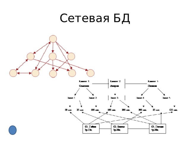 Сетевая БД 