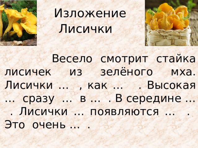 Изложение Лисички  Весело смотрит стайка лисичек из зелёного мха. Лисички … , как … . Высокая … сразу … в … . В середине … . Лисички … появляются … . Это очень … . 