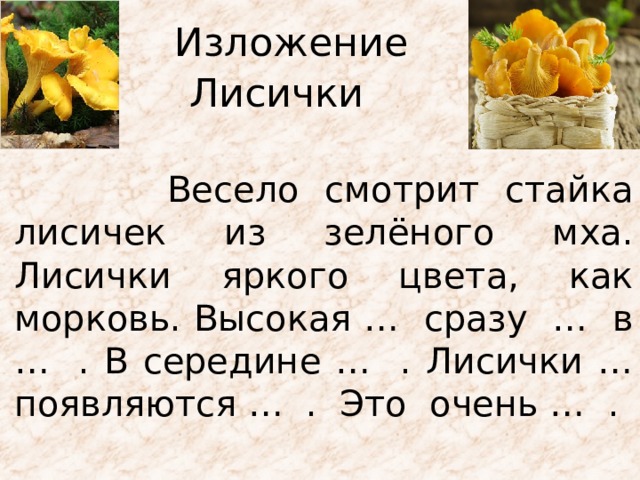 Изложение Лисички  Весело смотрит стайка лисичек из зелёного мха. Лисички яркого цвета, как морковь. Высокая … сразу … в … . В середине … . Лисички … появляются … . Это очень … . 