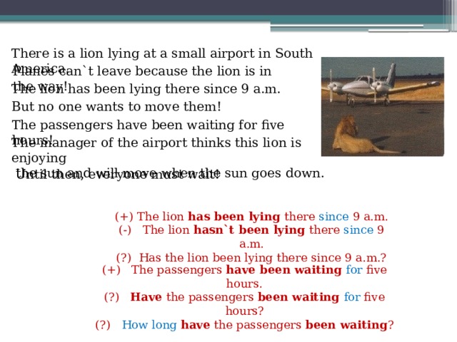 There is a lion lying at a small airport in South America. Planes can`t leave because the lion is in the way! The lion has been lying there since 9 a.m. But no one wants to move them! The passengers have been waiting for five hours! The manager of the airport thinks this lion is enjoying  the sun and will move when the sun goes down. Until then, everyone must wait! (+) The lion has been lying there since 9 a.m. (-) The lion hasn`t been lying there since 9 a.m. (?) Has the lion been lying there since 9 a.m.? (+) The passengers have been waiting for five hours. (?) Have the passengers been waiting for five hours? (?) How long have the passengers been waiting ? 