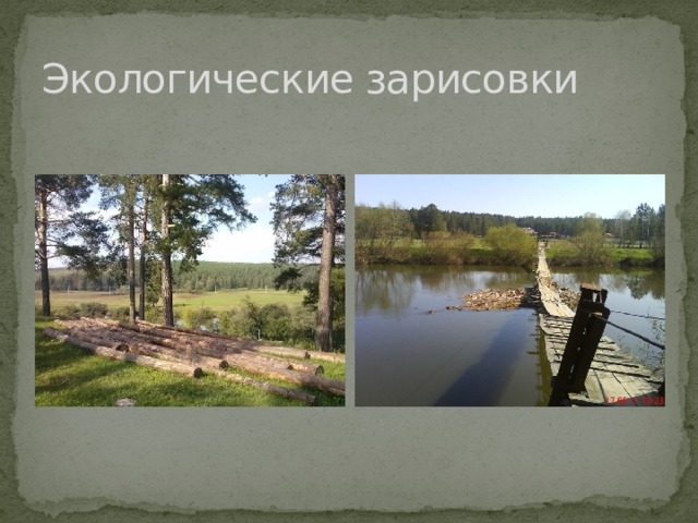 Экологические зарисовки 