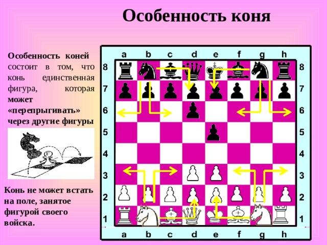 Особенность коня Особенность коней состоит в том, что конь единственная фигура, которая может «перепрыгивать» через другие фигуры Конь не может встать на поле, занятое фигурой своего войска. 