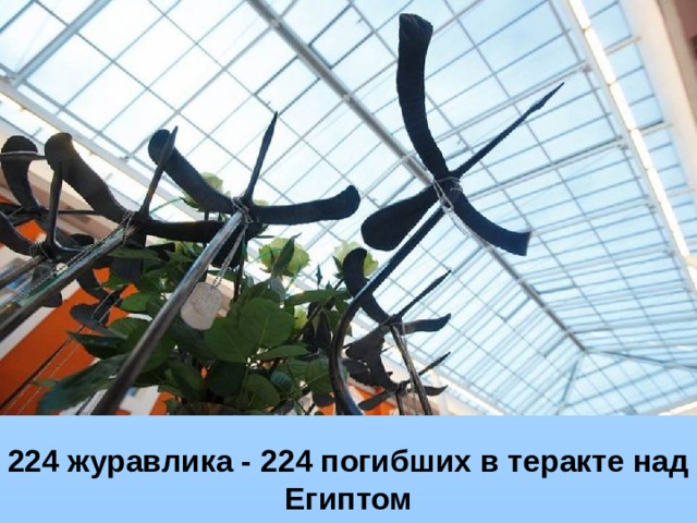 224 журавлика - 224 погибших в теракте над Египтом 