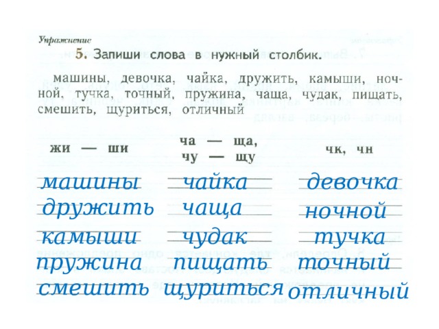 машины девочка чайка чаща дружить ночной чудак тучка камыши пружина точный пищать смешить щуриться отличный 