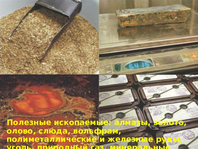 Полезные ископаемые: алмазы, золото, олово, слюда, вольфрам, полиметаллические и железные руды, уголь, природный газ, минеральные источники. 