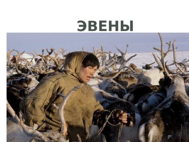 Эвены 